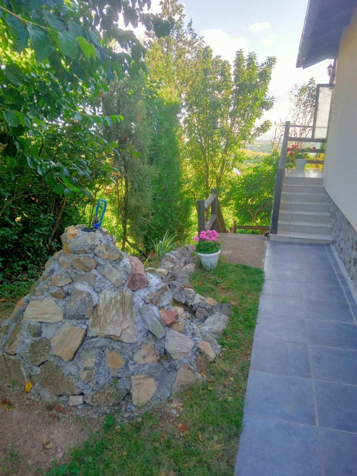 Apartment Noletov Vidikovac Vrdnik Extérieur photo