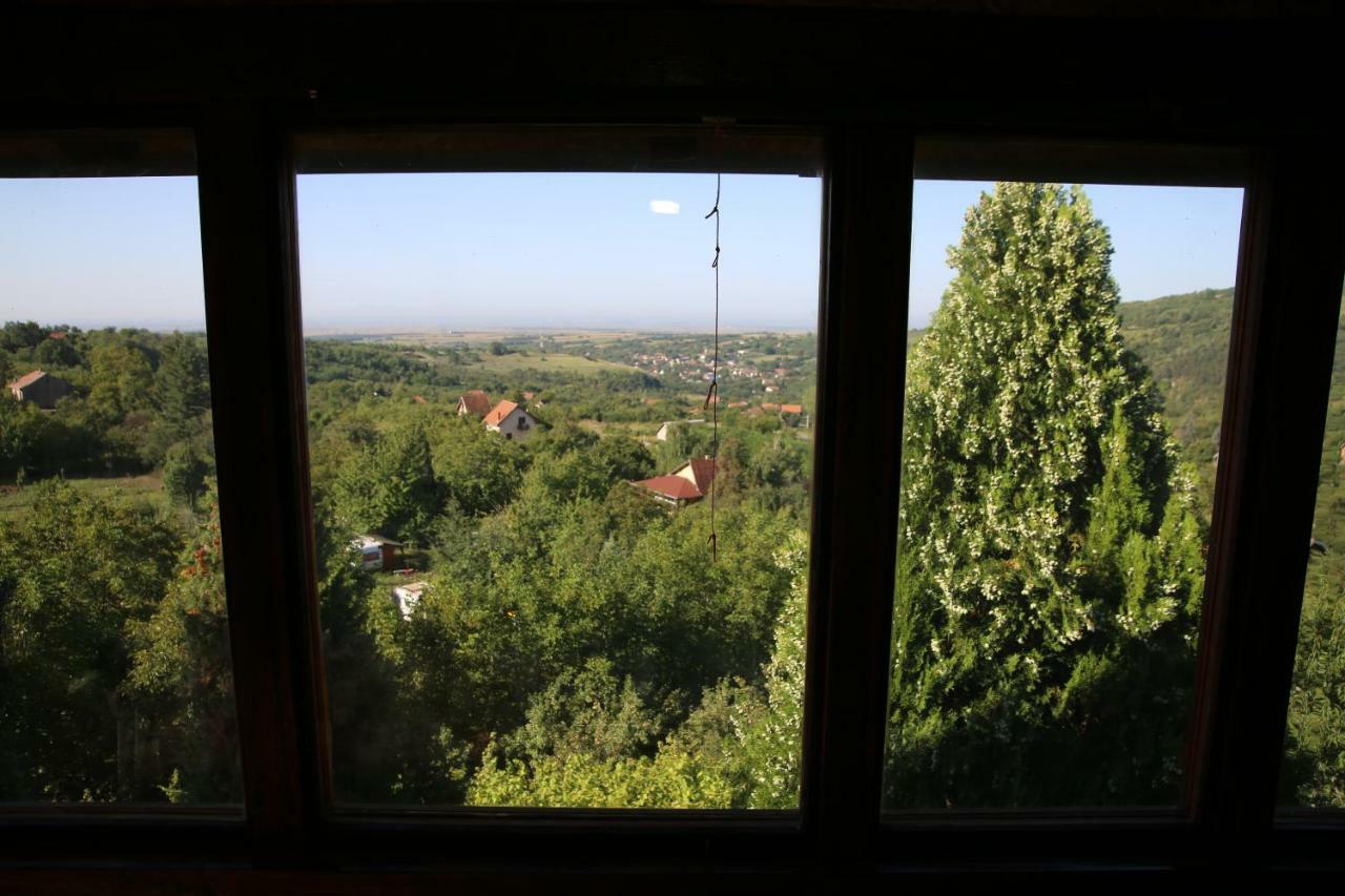 Apartment Noletov Vidikovac Vrdnik Extérieur photo
