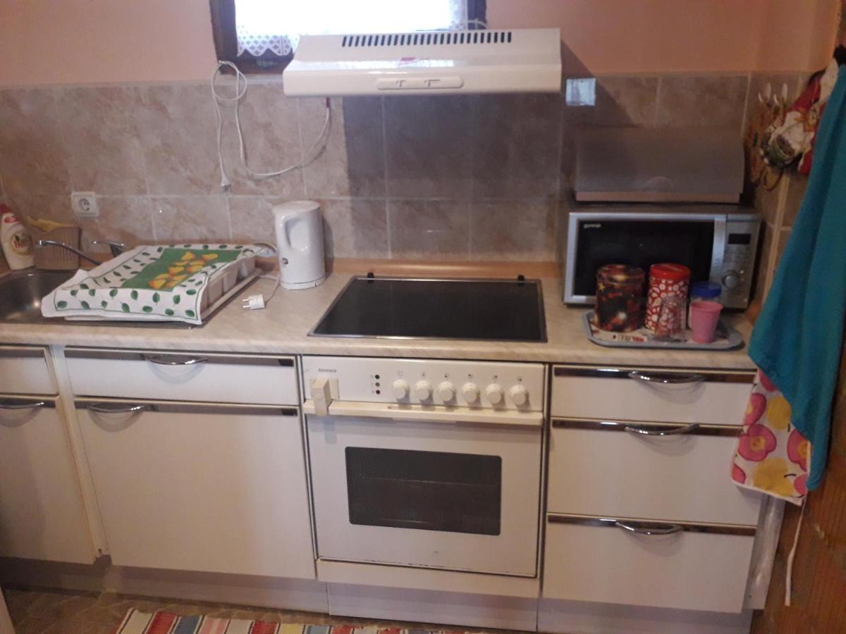 Apartment Noletov Vidikovac Vrdnik Extérieur photo